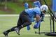 Eric Ebron is trying to learn all of the nuances of the NFL.
