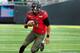 QB Marcus Mariota