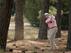 Brandt Snedeker needs to stay out of the trees.