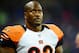 After one season with the Cincinnati Bengals, linebacker James Harrison has gone unsigned this offseason.