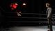Bray Wyatt and Chris Jericho engage in a war of the words.