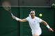 David Ferrer eyes the ball during a Wimbledon match.