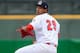 Cardinals pitching prospect Alex Reyes.