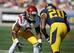 Josh Shaw