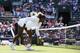 Serena Williams tries to maintain her balance during a second-round doubles match at Wimbledon.