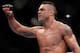 Vitor Belfort