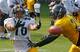 Lance Moore tries to haul in a pass during training camp.