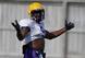 LSU receiver John Diarse is a Monroe native.