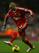 Andrea Dossena: One of four Italians who have already failed at Liverpool