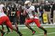 Stefon Diggs could be one of the Big Ten's most exciting players this fall.