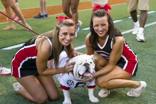 15 Real Animal Mascots That Are Way Cooler Than Costumed Counterparts