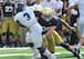 Joe Schmidt