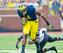 Devin Funchess