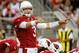 Quarterback Carson Palmer leads the Cardinals into the 2014 season.