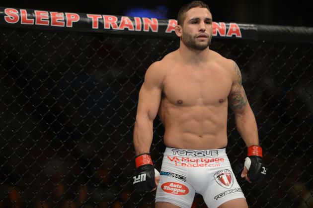 5 Best Team Alpha Male Fighters Right Now