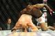Derek Brunson is a rising middleweight.