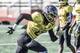 Marquez Callaway