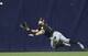 Adam Eaton has received no attention for his spectacular defense.