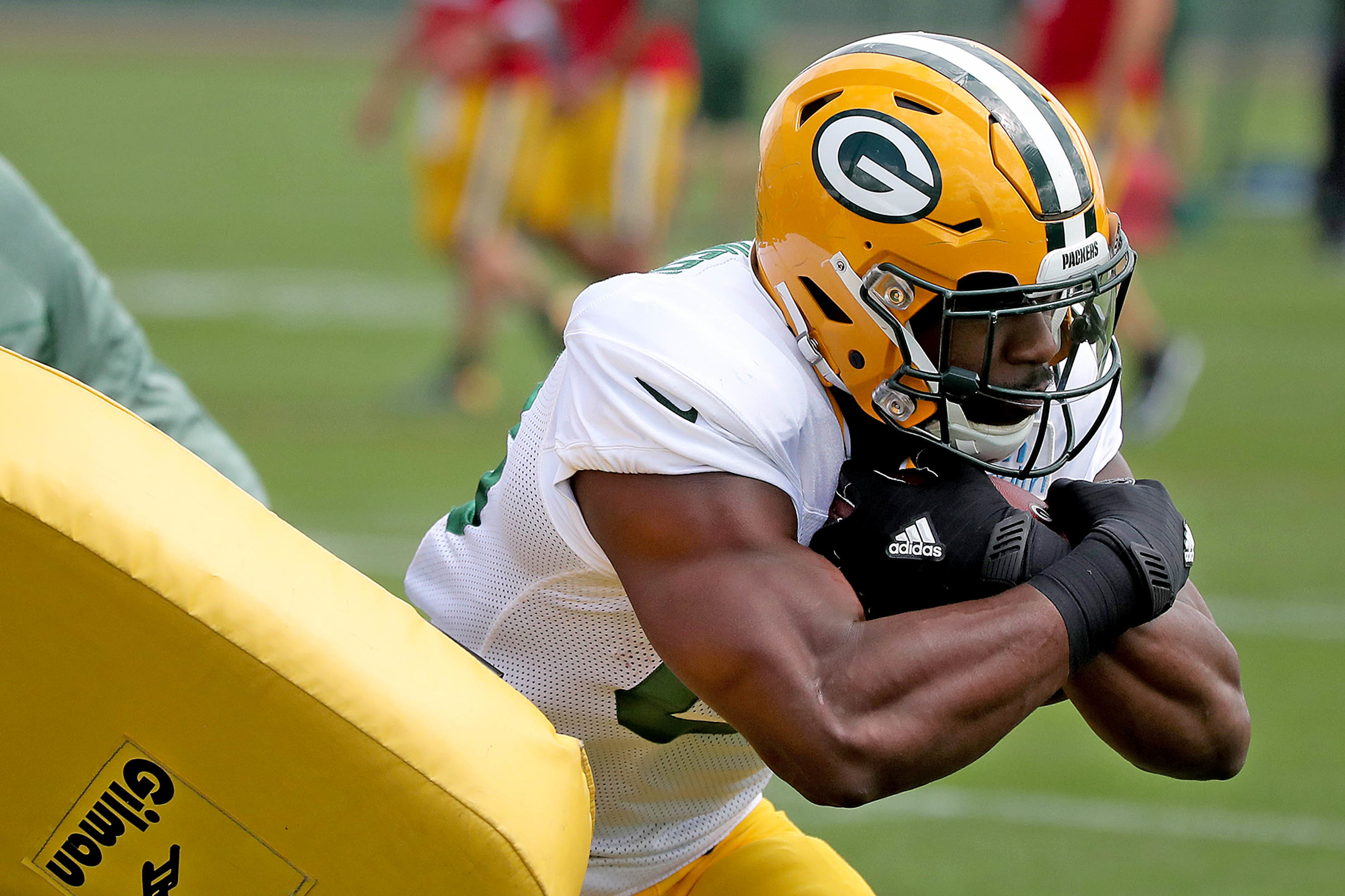 Ty Montgomery could be a serious contributor in 2020 - Canal