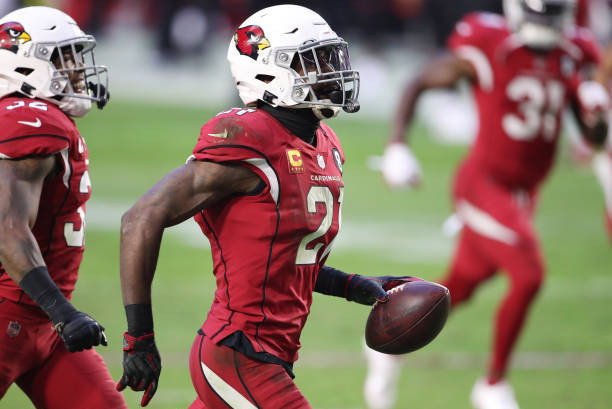 Bleacher Report sees Patrick Peterson as potential disappointment for Minnesota  Vikings - Revenge of the Birds