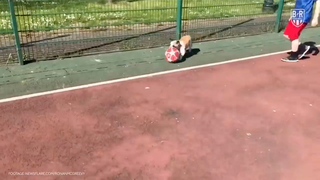 Slovakia (National Football) | Bleacher Report | Latest News, Scores