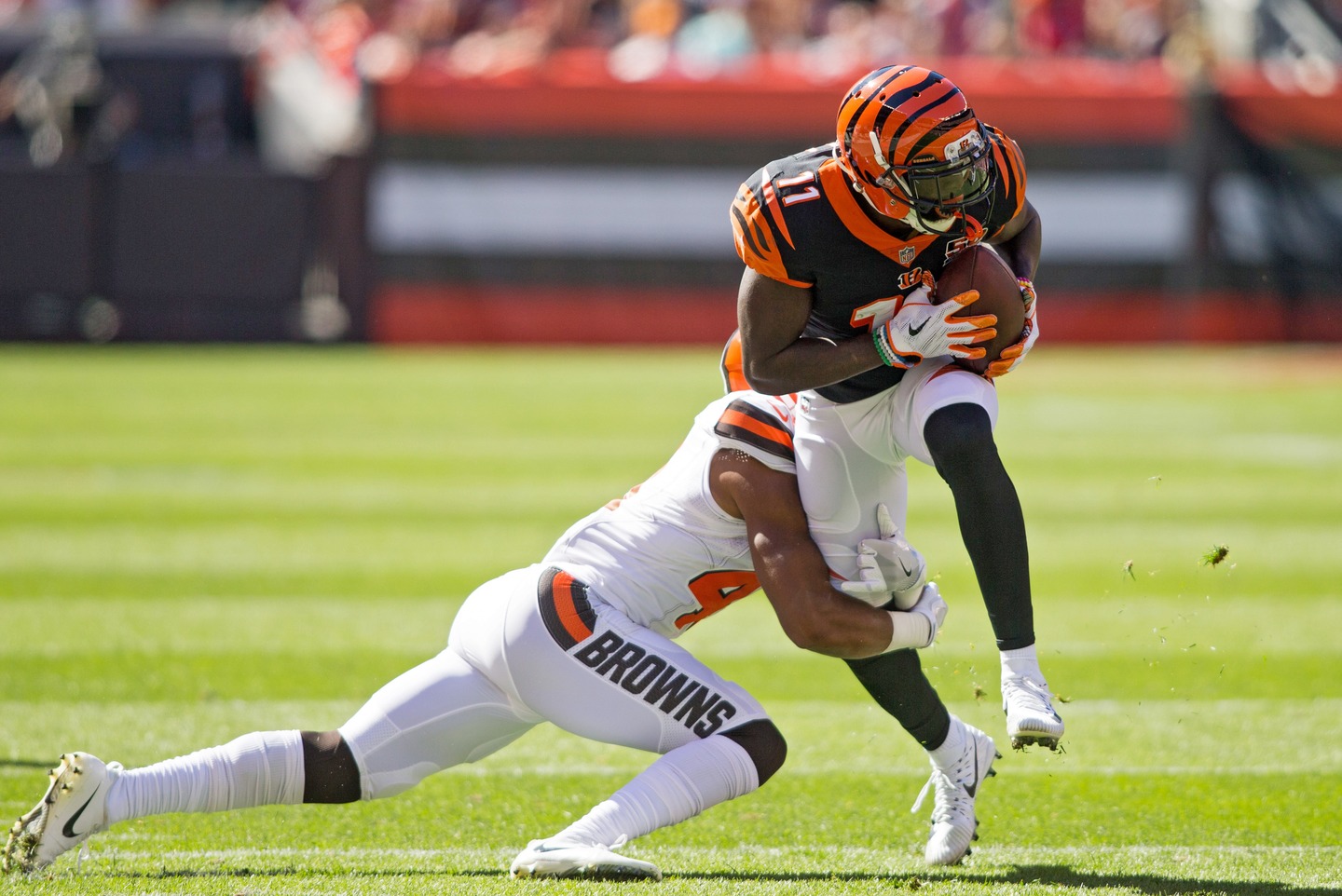 Brandon LaFell Bleacher Report Latest News, Videos and