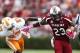 Bruce Ellington is a big-play threat for the Gamecocks.