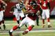 ATLANTA, GA - AUGUST 29: Jason Snelling #44 of the Atlanta Falcons slips as he rushes a reception upfield against the Jacksonville Jaguars at Georgia Dome on August 29, 2013 in Atlanta, Georgia. (Photo by Kevin C. Cox/Getty Images)