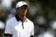 Sep 20, 2013; Atlanta, GA, USA; Tiger Woods walks the fairway on the 16th hole during the second round of the Tour Championship at East Lake Golf Club. Mandatory Credit: Brett Davis-USA TODAY Sports