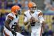 MINNEAPOLIS, MN - SEPTEMBER 22: Brian Hoyer #6 of the Cleveland Browns drops back with the football during the game against the Minnesota Vikings on September 22, 2013 at Mall of America Field at the Hubert H. Humphrey Metrodome in Minneapolis, Minnesota.