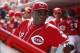 Sep 28, 2013; Cincinnati, OH, USA; Cincinnati Reds manager Dusty Baker (12) in the dugout during the first inning against the Pittsburgh Pirates at Great American Ball Park. Mandatory Credit: Frank Victores-USA TODAY Sports