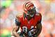 Sep 22, 2013; Cincinnati, OH, USA; Cincinnati Bengals tight end Jermaine Gresham (84) is tackled by a Green Bay Packers player (behind) after making a catch during the third quarter at Paul Brown Stadium. Mandatory Credit: Andrew Weber-USA TODAY Sports