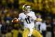Sep 7, 2013; Ann Arbor, MI, USA; Notre Dame Fighting Irish quarterback Tommy Rees (11) throws a pass during the second quarter against the Michigan Wolverines at Michigan Stadium. Mandatory Credit: Andrew Weber-USA TODAY Sports