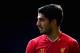 LIVERPOOL, ENGLAND - OCTOBER 05: Luis Suarez of Liverpool during the Barclays Premier League match between Liverpool and Crystal Palace at Anfield on October 5, 2013 in Liverpool, England. (Photo by Clive Brunskill/Getty Images)