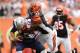 Cincinnati Bengals' Geno Atkins made Sunday miserable for Tom Brady.