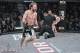 Photo provided by Bellator MMA