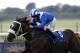 NEWMARKET, ENGLAND - SEPTEMBER 27: Paul Hanagan rides Soft Falling Rain to win The Nayef Joel Stakes at Newmarket racecourse on September 27, 2013 in Newmarket, England. (Photo by Charlie Crowhurst/Getty Images)