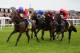 NEWBURY, ENGLAND - SEPTEMBER 21: Tony Hamilton riding Supplicant win The Dubai Duty Free Mill Reef Stakes at Newbury racecourse on September 21, 2013 in Newbury, England. (Photo by Alan Crowhurst/Getty Images)