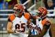 Oct 20, 2013; Detroit, MI, USA; Cincinnati Bengals wide receiver A.J. Green (18) congratulates tight end Tyler Eifert (85) after catching a pass for a touchdown during the third quarter against the Detroit Lions at Ford Field. Mandatory Credit: Andrew Web