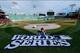 Oct 22, 2013; Boston, MA, USA; Chris Williams paints the World Series logo on the field during media day the day before game one of the 2013 World Series between the Boston Red Sox and St. Louis Cardinals at Fenway Park. Mandatory Credit: Robert Deutsch-U