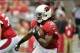 Oct 27, 2013; Phoenix, AZ, USA; Arizona Cardinals running back Andre Ellington (38) carries the ball during the first half against the Atlanta Falcons at University of Phoenix Stadium. Mandatory Credit: Matt Kartozian-USA TODAY Sports