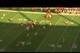Amerson quickly jabbed his receiver with both hands.