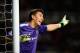 NEWCASTLE UPON TYNE, ENGLAND - OCTOBER 30: Goalkeeper Costel Pantilimon of Manchester City gives instructions during the Capital One Cup Fourth Round match between Newcastle United and Manchester City at St James' Park on October 30, 2013 in Newcastle up