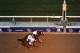 ARCADIA, CA - NOVEMBER 02: Will Take Charge #5 ridden by Luis Saez, Declaration of War #5 ridden by Joseph O'Brien and Mucho Macho Man #6 ridden by Gary Stevens head to the finish line in the Classic during the Breeders' Cup World Championships at Santa