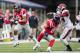 OXFORD, MISSISSIPPI - NOVEMBER 9: Donte Moncrief #12 of the Ole Miss Rebels scores a touchdown after getting a block from Jordan Holder #21 on Eric Bennett #14 of the Arkansas Razorbacks at Vaught-Hemingway Stadium on November 9, 2013 in Oxford, Mississi