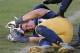 SOUTH BEND, IN - NOVEMBER 02: Ben Councell #30 of the Notre Dame Fighting Irish lays in pain after suffering an injury against the Navy Midshipmen at Notre Dame Stadium on November 2, 2013 in South Bend, Indiana. Notre Dame defeated Navy 38-34. (Photo by
