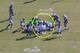 The Jaguars have plenty of bodies in place to recover the loose football.