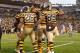 PITTSBURGH, PA - NOVEMBER 17: Jerricho Cotchery #89 of the Pittsburgh Steelers celebrates his fourth quarter touchdown with Levi Brown #67 and Le'Veon Bell #26 while playing the Detroit Lions at Heinz Field on November 17, 2013 in Pittsburgh, Pennsylvania