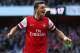 LONDON, ENGLAND - OCTOBER 19: Mesut Oezil of Arsenal celebrates as he scores their second goal during the Barclays Premier League match between Arsenal and Norwich City at Emirates Stadium on October 19, 2013 in London, England. (Photo by Paul Gilham/Ge