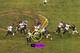 Ray Rice seven-yard gain; courtesy of NFL GameRewind.